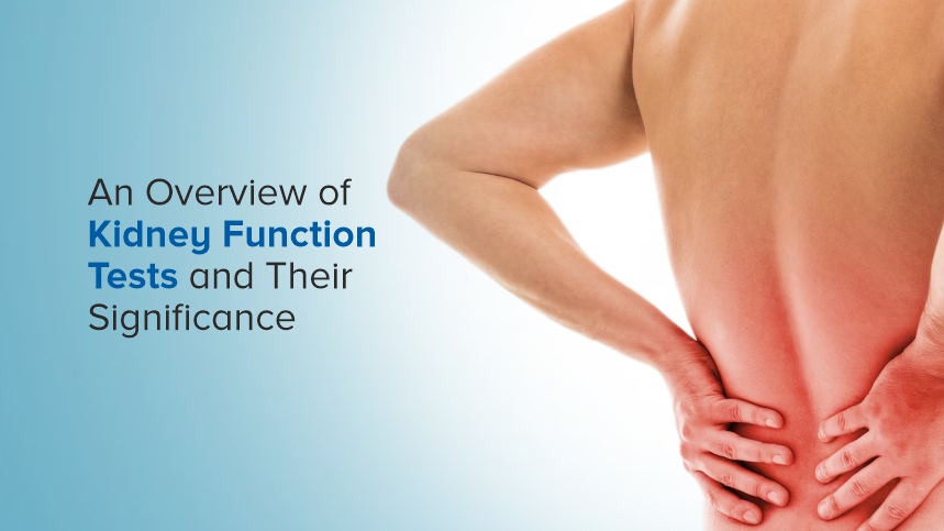Understanding Kidney Function Tests and Their Importance