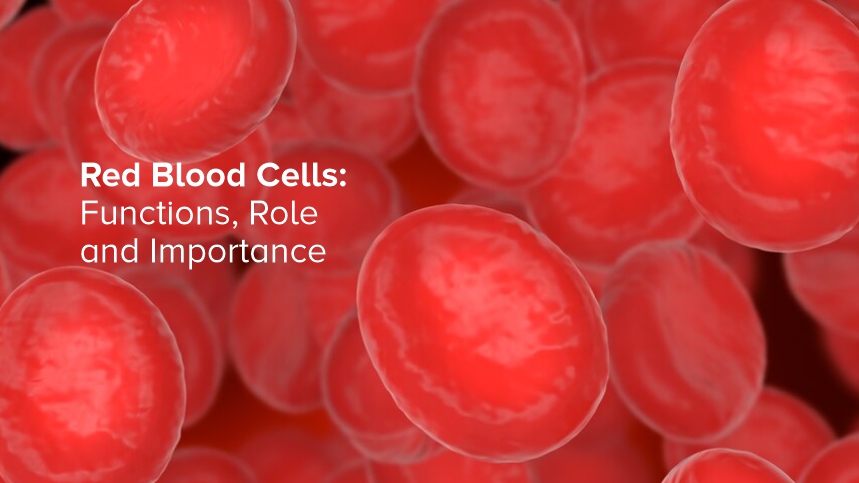 Red Blood Cells: Lifesavers in Every Drop