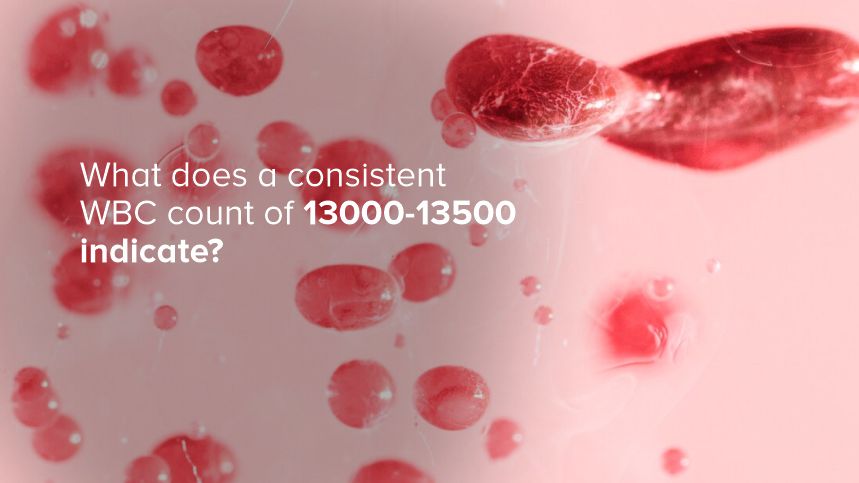 What Does a Consistent WBC Count of 13,000-13,500 Indicate?