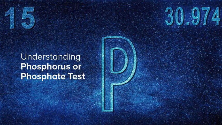 Understanding Phosphorus Tests for Better Health