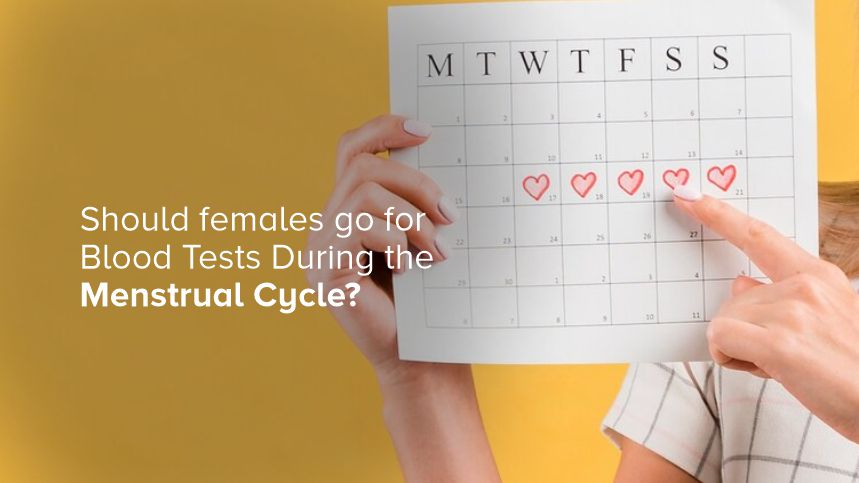 Navigating Blood Tests During Your Menstrual Cycle